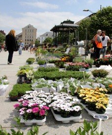 Gante, la ciudad más animada de Bélgica