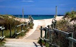 Europa se decanta por España