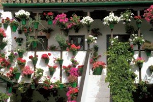 Patio típico cordobés.