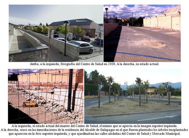Algunos vecinos critican la desfachatez del actual Alcalde Daniel Pérez (PP), que 'se llevó' los árboles de las inmediaciones del Mercado Municipal a las inmediaciones de su actual residencia.