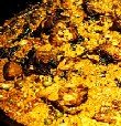 Disfrutar del auténtico arroz con chato murciano en El Caldero