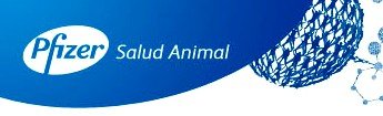 El español Guillermo Romero nombrado vicepresidente de Mercados Emergentes en Pfizer Animal Health
