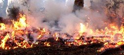 GMV presenta los resultados del proyecto FIRESMART para la prevención de incendios