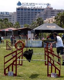 Nuevo fin de semana plagado de eventos deportivos en Marina d'Or