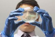 El CDTI invierte 73 millones para 143 proyectos de I+D+i empresarial