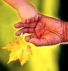 Según Mapfre, la recuperación económica ya se está dejando notar en el sector asegurador