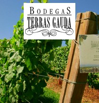 Terras Gauda, a la cabeza en I+D+I sobre viticultura