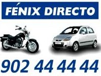 Fénix Directo, un Caso de Éxito en YouTube