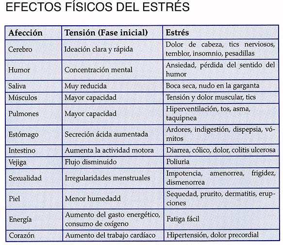 Mejorar la productividad de las compañías, empieza por la Salud de sus empleados