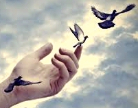 ¿Dónde están nuestros liberales auténticos?