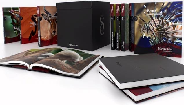 Signo editores vuelve a Córdoba con una oficina renovada y 16 puestos de trabajo