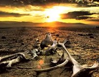 Jornada IEB sobre ‘Mercados Financieros y cambio climático’