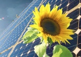 Compañías chinas de energía solar ven ambiente favorable a sus proyectos
