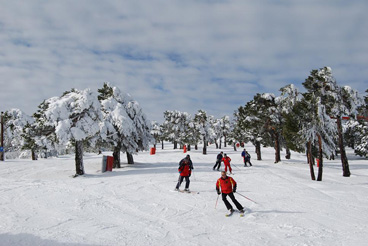 Aprende a esquiar en Navacerrada con la Escuela Sierra de Madrid