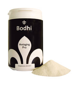 Antiaging Pro Bodhi.