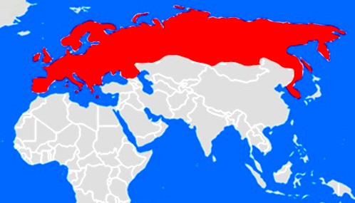 Europa y Rusia serían un matrimonio perfecto