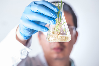 Plameca, 33 años de innovación al servicio de la salud