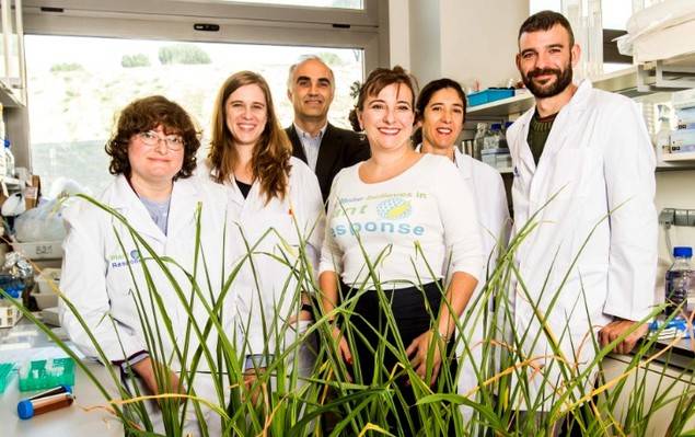 PlantResponse Biotech cierra una ronda de financiación de 5,7 millones de euros