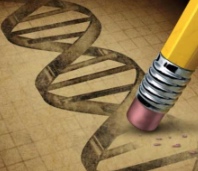 La edición genética ofrece nuevas esperanzas para tratar el desorden muscular