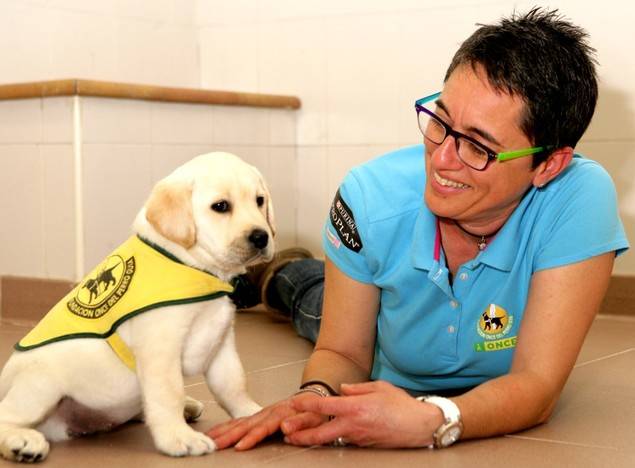 Los trabajadores de El Corte Inglés se suman a la campaña Regala Ilusión de la ONCE