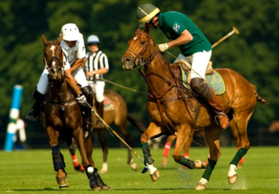 Sotogrande, sede del 45 Torneo Internacional de Polo