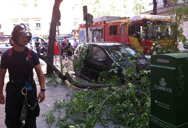 El pasado viernes 10 de junio calló un árbol en la calle Altamirano de Madrid, junto al Mercado Municipal de Argüelles, que no causó víctimas. 