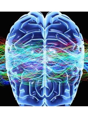 Las terapias neurocientíficas