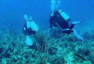 El submarinismo hace su inmersión en Intercambiocasas