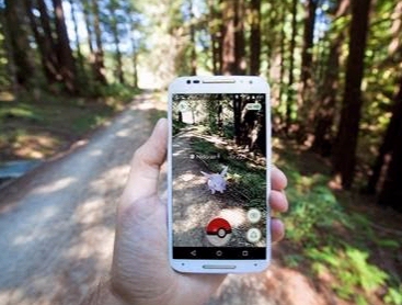 Los pokémons se van de escapada rural