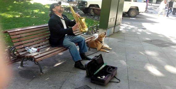 Perro, saxo y política de salón