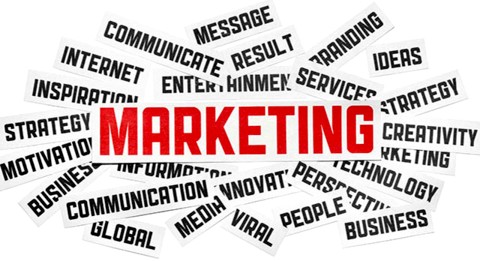 Estudiantes como Country Marketing Managers