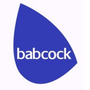 INAER se convierte en Babcock