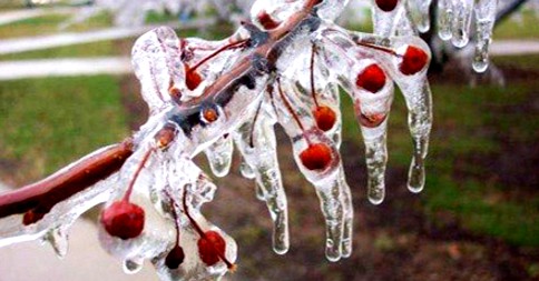 Lluvias, nieblas y frío: así será la primera semana de 2017