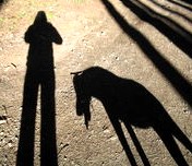 Perro si muerde a perro, o a perra