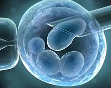 Japón aprueba el trasplante de células retinianas a partir de célula madre de otra persona