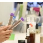 La inmunoterapia podría cambiar la historia natural de las enfermedades respiratorias alérgicas