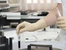 Muno, los seguros participativos llegan a España