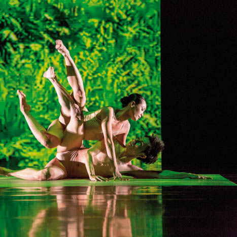 Danza entre arrozales