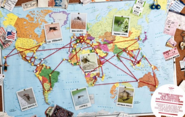 Cancelación, pérdida de equipaje y salud, los seguros más demandados para viajar este verano