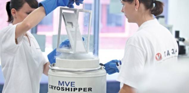 El banco alemán de SECUVITA amplía su red de colaboración a China