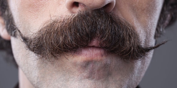 Pequeña historia de la brevedad de un bigote