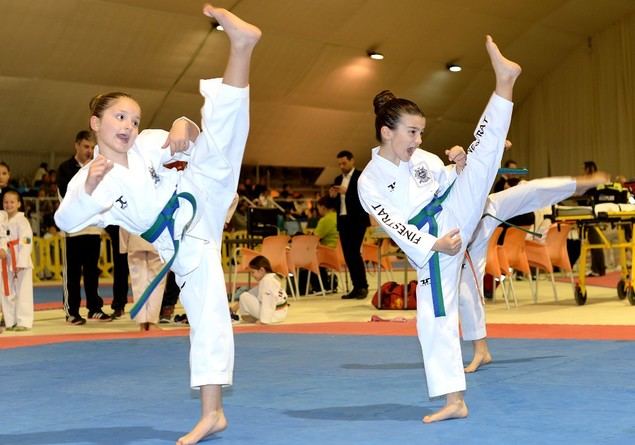Fiesta del taekwondo regional en Marina d’Or