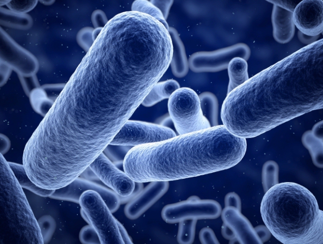 El estudio de la microbiota ha revelado el papel fundamental que juegan, desde hace siglos, las bacterias en nuestra salud y nuestra vida