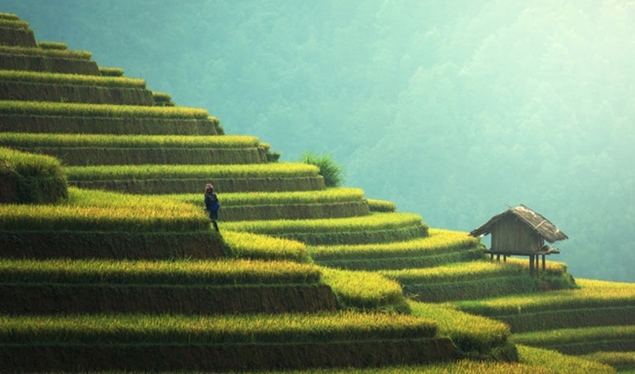 La economía china creció un 6,7 por ciento entre enero y junio