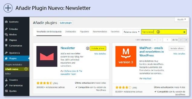Cómo integrar un boletín de noticias en WordPress