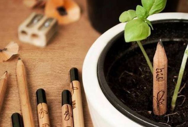 Sprout, el lápiz sostenible que se convierte en planta
