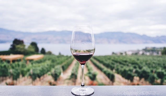 Izadi completa con Larrosa Negra su trilogía de garnachas