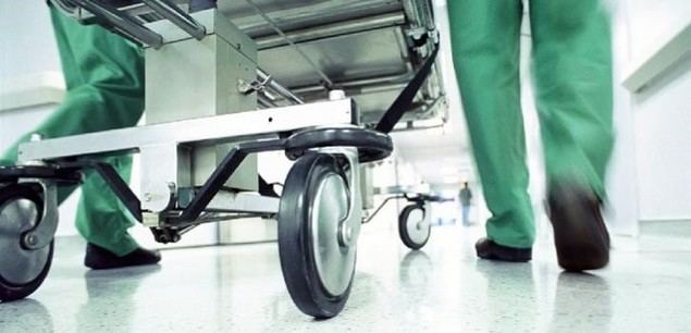 ASHO incrementa un 60% su facturación en el último año y prevé mantener el nivel de crecimiento en 2019