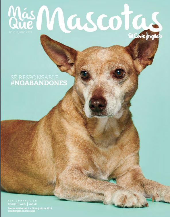 El Corte Inglés lanza la campaña “Sé Responsable #NoAbandones” en apoyo a las mascotas