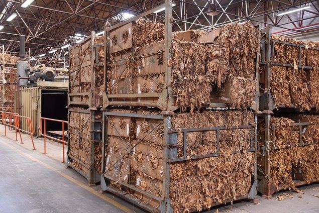 Raúl Pardo-Geijo logra una pionera absolución frente contrabando delictivo de tabaco y Hacienda Pública